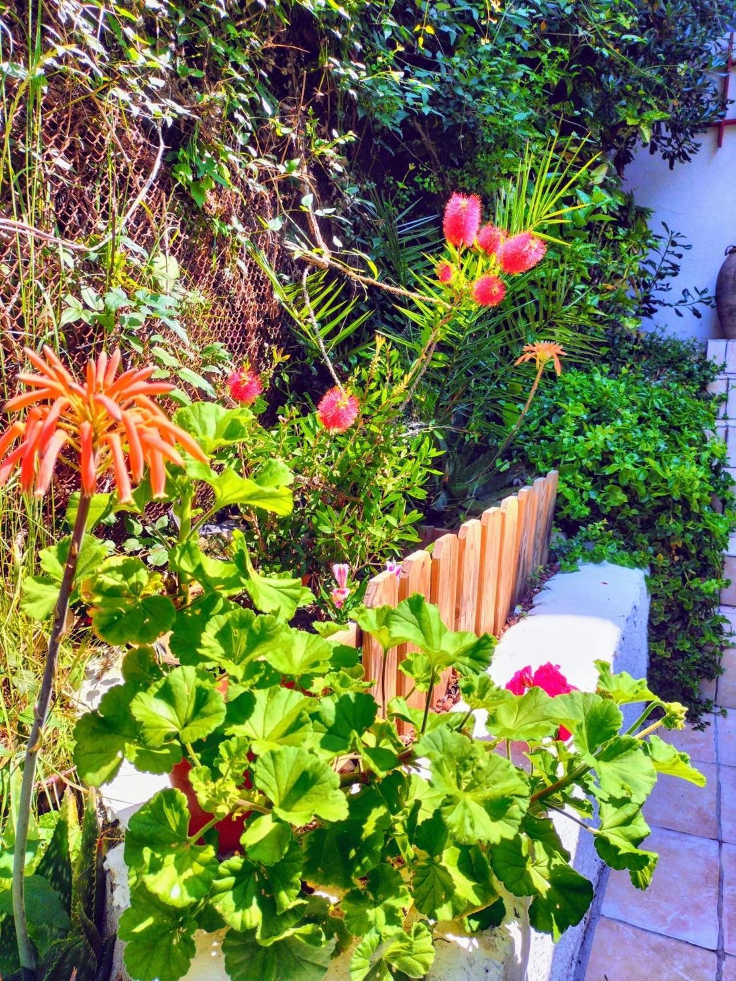 Villa Bellabe นีซ ภายนอก รูปภาพ